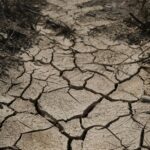 France-heatwave-crisis-2