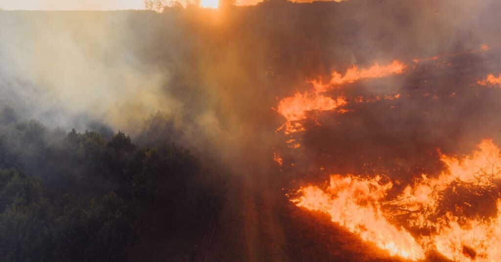 Illustration de Catastrophe climatique : Juillet 2026, la France suffoque et s'embrase France-heatwave-wildfire-destruction