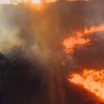 France-heatwave-wildfire-destruction