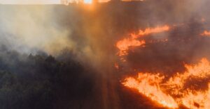 Illustration de Catastrophe climatique : Juillet 2026, la France suffoque et s'embrase France-heatwave-wildfire-destruction