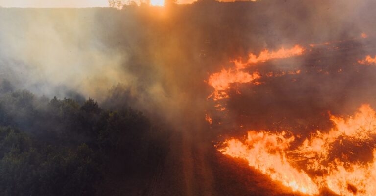 Illustration de Catastrophe climatique : Juillet 2026, la France suffoque et s'embrase France-heatwave-wildfire-destruction