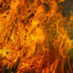 France-heatwave-wildfires-1