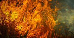 Illustration de Incendies et Canicule : La France au bord du chaos France-heatwave-wildfires-1