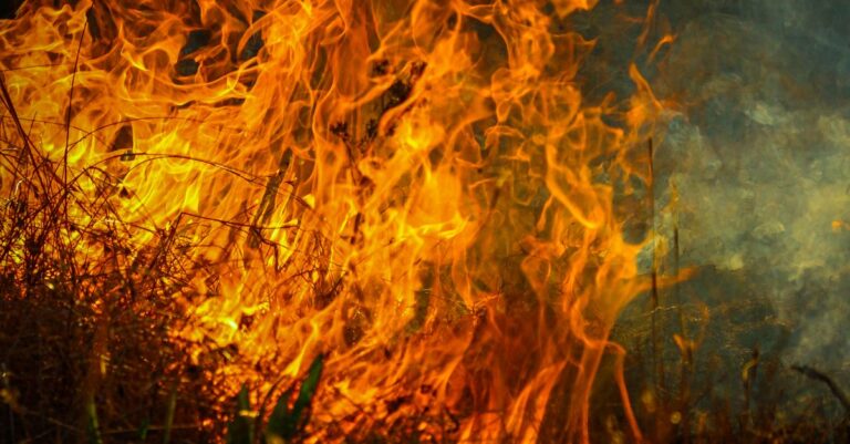 France-heatwave-wildfires-1