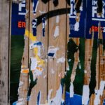 French-election-interference