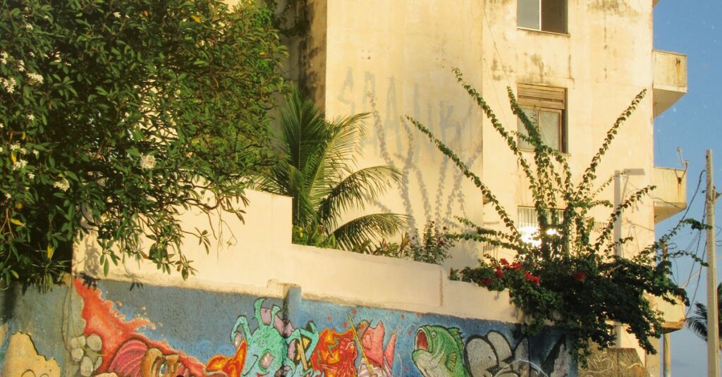 Illustration de El Salvador : la liberté retrouvée des graffeurs cache une réalité sombre Salvador-street-art-gang