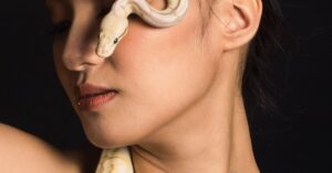 beauty-pageant-python