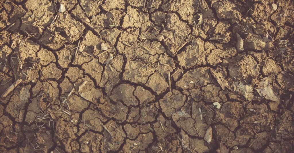 Illustration de La France suffocante : canicule incessante, chaos économique et environnemental drought-climate-france