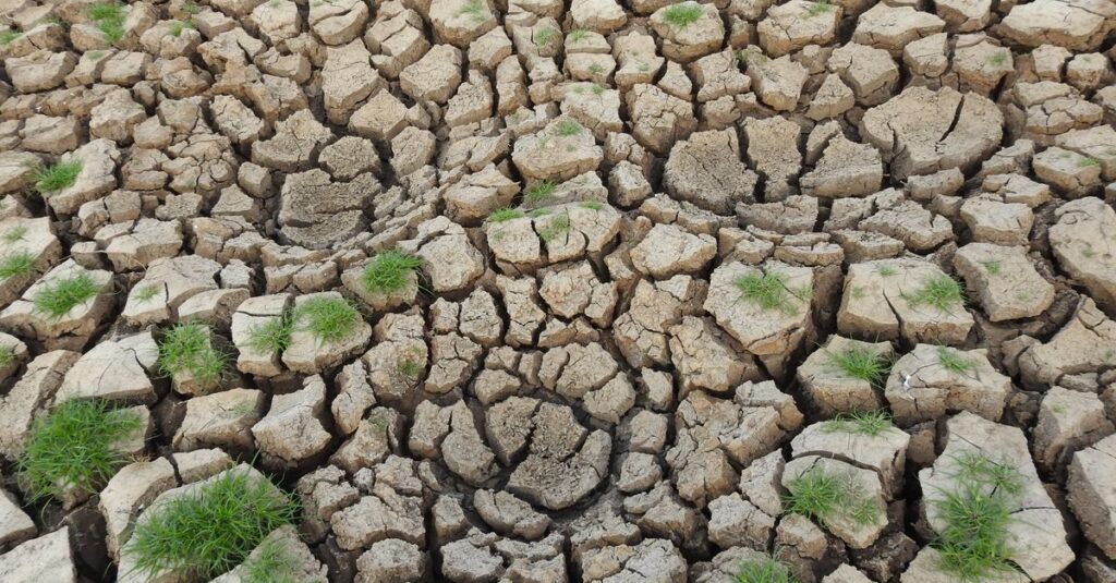 Illustration de Catastrophe en vue : Fruits et légumes «moches» envahissent nos supermarchés drought-vegetables-scarcity