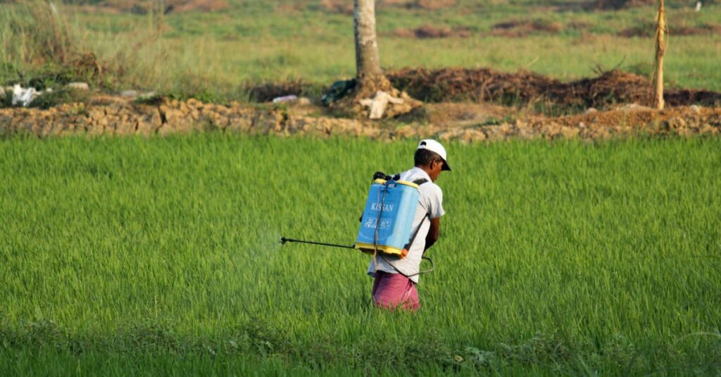 Illustration de Pesticides : l'Anses, bouc émissaire d'une décision politique désastreuse pesticides-banned-chemicals