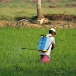 pesticides-banned-chemicals
