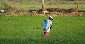 Illustration de Pesticides : l'Anses, bouc émissaire d'une décision politique désastreuse pesticides-banned-chemicals